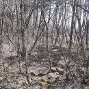 김삿갓면-6 이미지