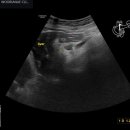 위아래내과의원 이미지