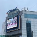 마리아내과의원