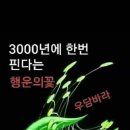 행운결혼 이미지