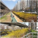 개나리식자재마트