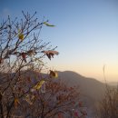 해맞이목장 이미지