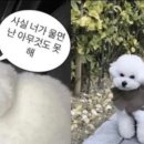 행복마라탕 이미지