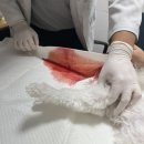 말바우동물병원 이미지