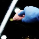 하라코트 이미지