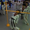 용인대중앙태권도 이미지