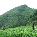 소천초등학교두음분교장 이미지