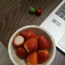 덜 설레는 새해를 맞이하며…