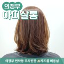 아띠살롱 | 의정부미용실 아띠살롱 염색후기 - 송시영실장