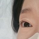 엘로이뷰티 이미지