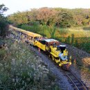 에코랜드 이미지