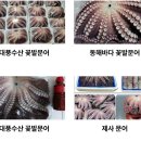 대풍
