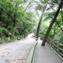 자연황토민박앞 이미지