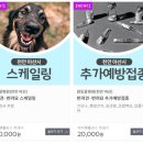 다사랑동물병원 이미지