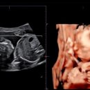 한별여성의원 이미지