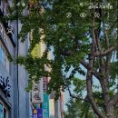 송비뇨기과의원 이미지