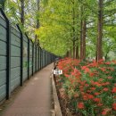 문화소통로 이미지