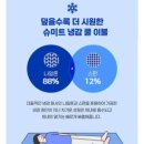 슈미트 | 여름추천이불 슈미트냉감이불 내돈내산 실 사용후기