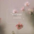 화이트크리닝 알파 이미지