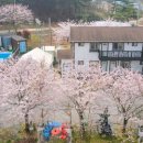 씨네마펜션 이미지