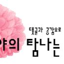 다사랑 비어앤 파스타 이미지