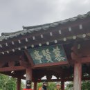 하소교 Daum카페