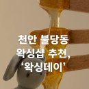 천안 불당동 고급 슈가링 꼼꼼한 왁싱샵 '왁싱데이' 후기✂️