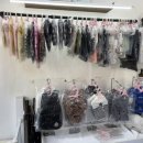 댕냥점빵 이미지