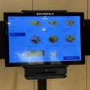 소코아(SOKOA) | 선릉 일본식카레 맛집 소코아 직장인 점심 먹고 선정릉 산책하기 SokoA