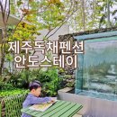 안도스테이 이미지