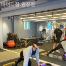 바이디짐 네이버블로그