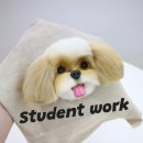 양모아네뜨