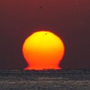 조선비치 이미지