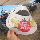 부여꽃직매장