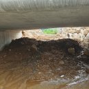 사그막천 이미지