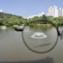 언제나안경 렌즈미 성남신구대점 이미지