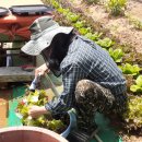 5月 20日 12時 定期 모임 안내, 결산 입니다. 10명 이미지