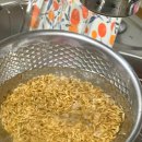 민이농장 이미지