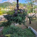 (주)가야이엔씨 - 20353 | (주)가야이엔씨