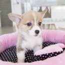 바우스토리 이미지