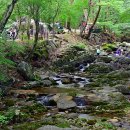 삼정 야영장 이미지