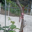 몽실하우스 이미지