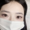 래쉬돌 네이버블로그