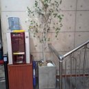 대짜만두전골 | [정읍] 이화담(구. 갈비박스)_갈비젓갈조림, 만두전골 맛집, 메뉴 다 뿌심 후기