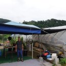 장곡3리 이미지