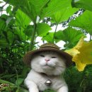 (주)제이오 이미지