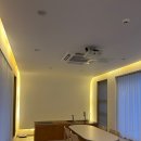 제주애단비 마주 이미지