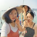 뚱땡이네과일 | 베트남(하노이,하롱베이)여행후기1탄 -
