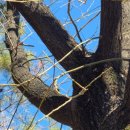 보배어린이공원 이미지