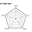 엔코브릿지